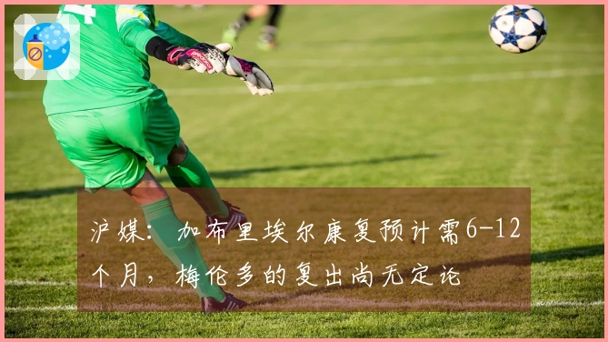 沪媒：加布里埃尔康复预计需6-12个月，梅伦多的复出尚无定论