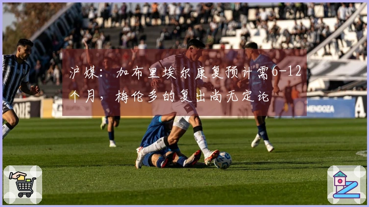 沪媒：加布里埃尔康复预计需6-12个月，梅伦多的复出尚无定论