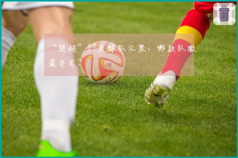 “楚超”17支球队汇聚，哪款队徽最夺目？